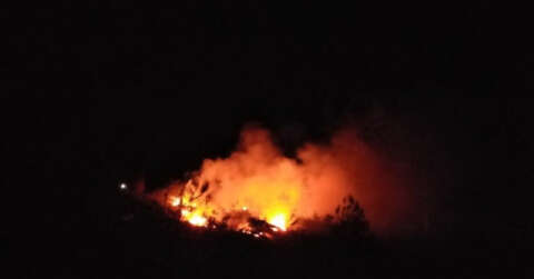 Adana’daki orman yangını söndürüldü
