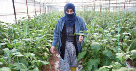 Serası dolu nedeniyle zarar gören kadın çiftçinin tepkisi: ”Patlıcan pahalı diyenler şu halimize baksınlar”