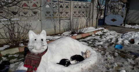Kar birikintileri ile ’kardan kedi’ yaptılar