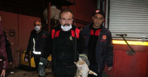 Hırçın kedi, ekipleri alarma geçirdi: Çıkması için hamsi bile verdiler
