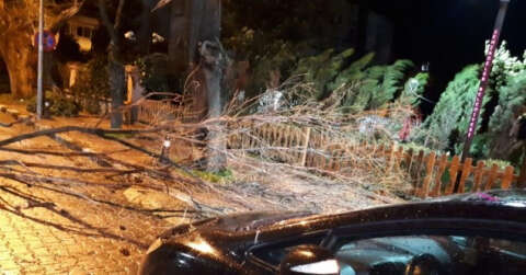 Manisa’da fırtına ağaçları devirdi çatıları uçurdu