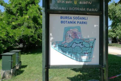 Botanik Park’ta düzenleme
