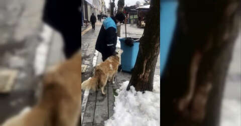Sokakları temizlerken köpek sevgisiyle yürekleri ısıttı