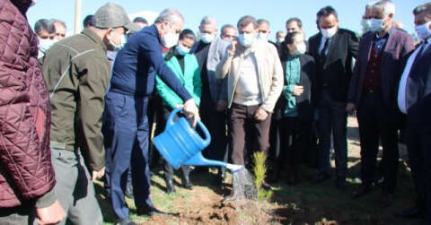 Diyarbakır hipodromu 44 bin ağaçla yeşillendirildi