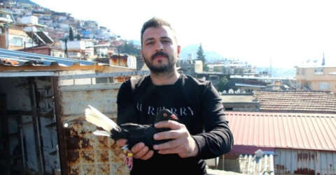 Babadan miras güvercin sevdası