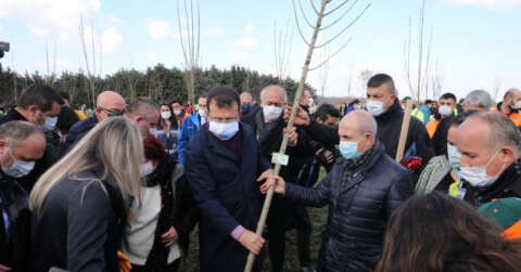Başkan Akgün, 8 Mart Hatıra Ormanı’na ağaç dikti