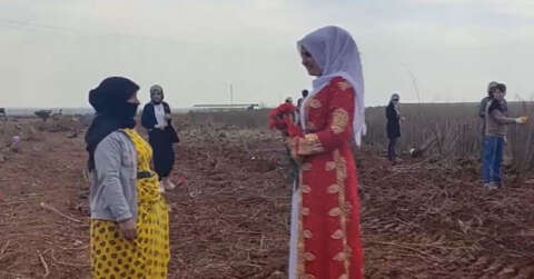 Şanlıurfa’da tarlada çalışan kadınlara 8 Mart sürprizi