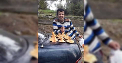 Çiriş otu toplamak için dağa giden adam ölü bulundu