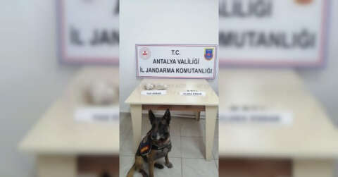 Çivi’nin tepki verdiği koltuktan uyuşturucu çıktı