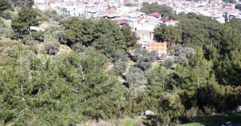 İzmir’de ormanlık alanda kafatası ve kemik parçaları bulundu