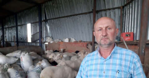 Küçükbaş hayvan üreticileri yapağı fiyatları arttırılmazsa eylem yapacak