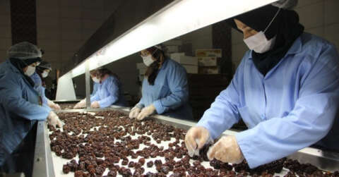 Kuru meyve üreterek pandemi döneminde daha da büyüdüler