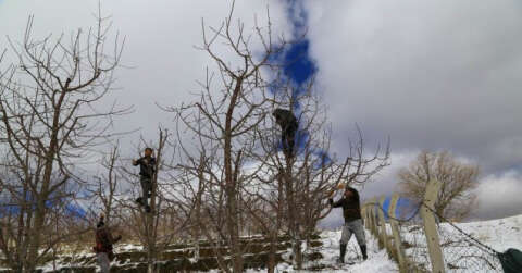Toroslar’daki kiraz bahçeleri kar altında yeni sezona hazırlanıyor