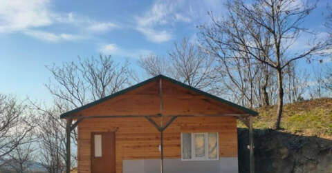 Ormana yapılan kulübede define ararken suçüstü yakalandılar