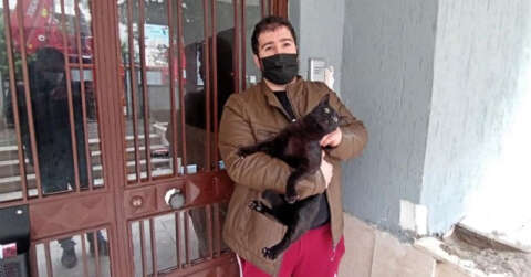 Beşinci kattan düşen kedisi kurtarıldı, göz yaşlarına boğuldu