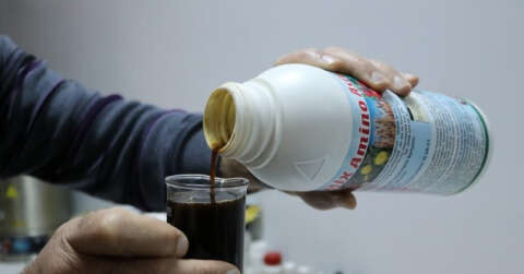 Tavuk atıkları tarımda gübreye dönüştü