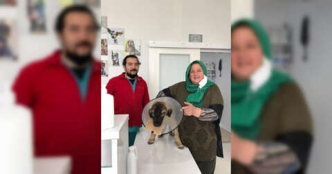 Traktörün çarptığı köpeğin ameliyat masraflarını sigorta şirketi karşıladı