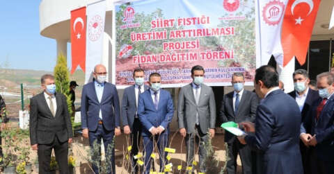 Siirt’te 4 bin dekar fıstık bahçesi tesis edilecek