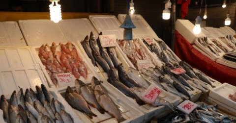 Av yasağıyla birlikte balıkta fiyatlar artmadı düştü