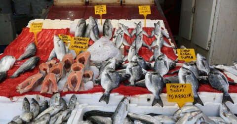 Balık satışları azaldı fiyatlar düştü