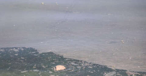Samsun Limanı’nda tedirgin eden kirlilik: Gözler gemilerde
