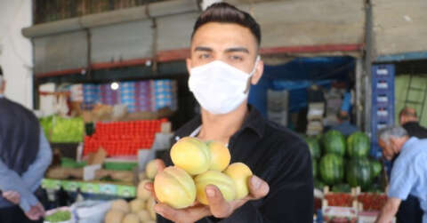 Lezzeti ve ünü ülke sınırlarını aşan Malatya kayısısı tezgaha indi