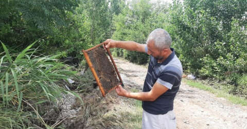 400 kovan arısı sele kapıldı, zararı 1 milyon lira