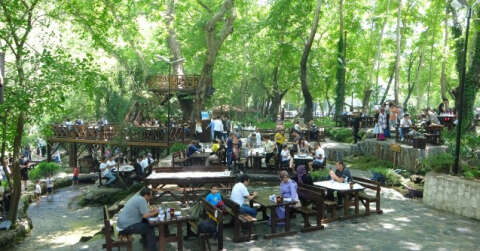 Dağılcak Tabiat Parkı doğa tutkunlarının akınına uğradı
