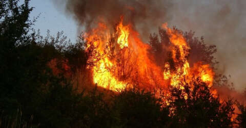 Adıyaman’da korkutan bahçe yangını