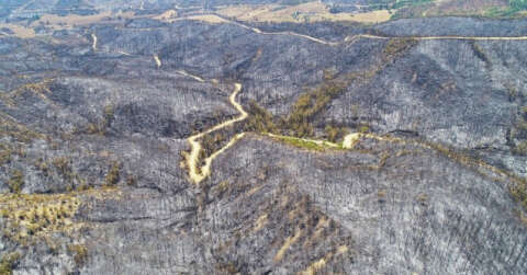 Aladağ’da yanan ormanlık alanlar drone ile görüntülendi
