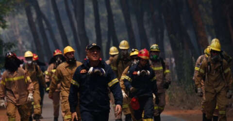 Dünyanın ciğerleri yanıyor: 40’tan fazla ülkede ormanlar alev alev