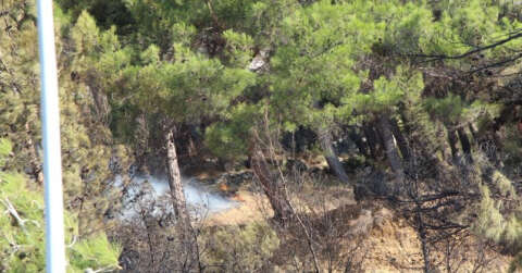 Hatay’da çıkan orman yangını kontrol altına alındı