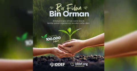 İDDEF’ten ’Bir Fidan Bin Orman’ projesi