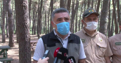 İstanbul Orman Bölge Müdürü Yusuf Şahin’den orman yasakları ile ilgili açıklama