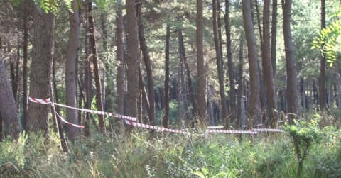 İstanbul’da ormanlık alanlarda şeritli ve polisli önlem