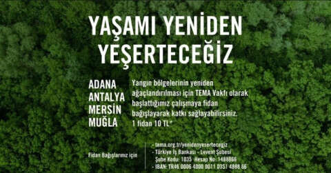 Maltepe Belediyesi’nden 2 bin 155 fidan