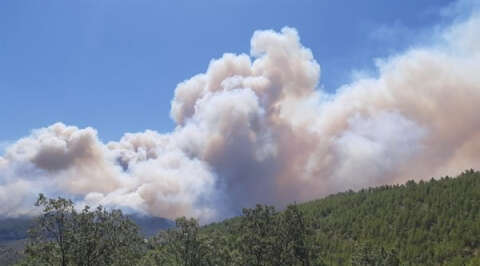 Mersin’de ormanlık alanlara girişler yasaklandı
