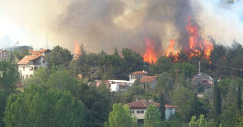Orman yangını evlere sıçradı