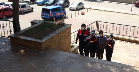 Orman yangınının şüphelisi adli kontrol şartıyla serbest bırakıldı