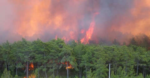 Orman yangınlarından etkilenen bölgeler “Genel Hayata Etkili Afet Bölgesi” ilan edildi