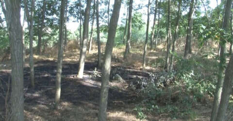 (Özel) İstanbul’da ormanın yandığını gören köylüler erken müdahale ile facianın önüne geçti