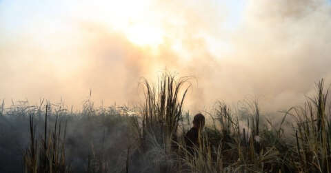 Sazlık alandaki yangın ekipleri harekete geçirdi
