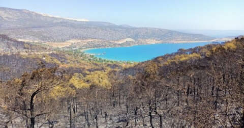 Silifke’de orman yangını devam ediyor