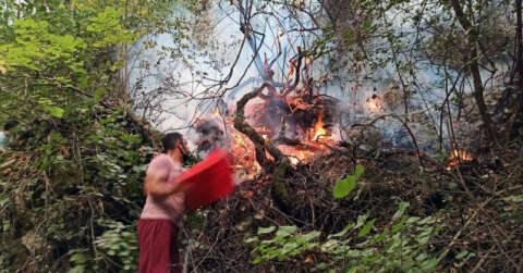 Tabiatın gizli hazinesi ‘Turgut Şelalesi’ de alevlere teslim oldu