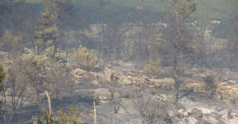 Uşak’ta çıkan orman yangını kontrol altına alındı