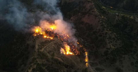Manisa’da korkutan orman yangını