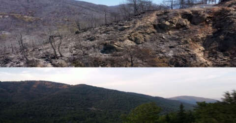 Marmaris’in yangın öncesi ve sonrası havadan görüntüleri, felaketin boyutunu gözler önüne serdi