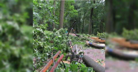 Ukrayna’da fırtınada bankta oturanların üstüne ağaç devrildi: 2 ölü