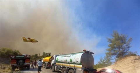 Gaziosmanpaşa Belediyesi’nden yangın bölgesine araç ve personel desteği