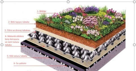 İklim koşullarına en uygun yeşil çatı tasarımları belirlenecek